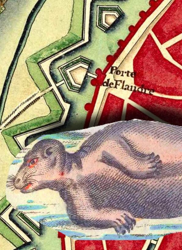 The Case of the Sea Dog