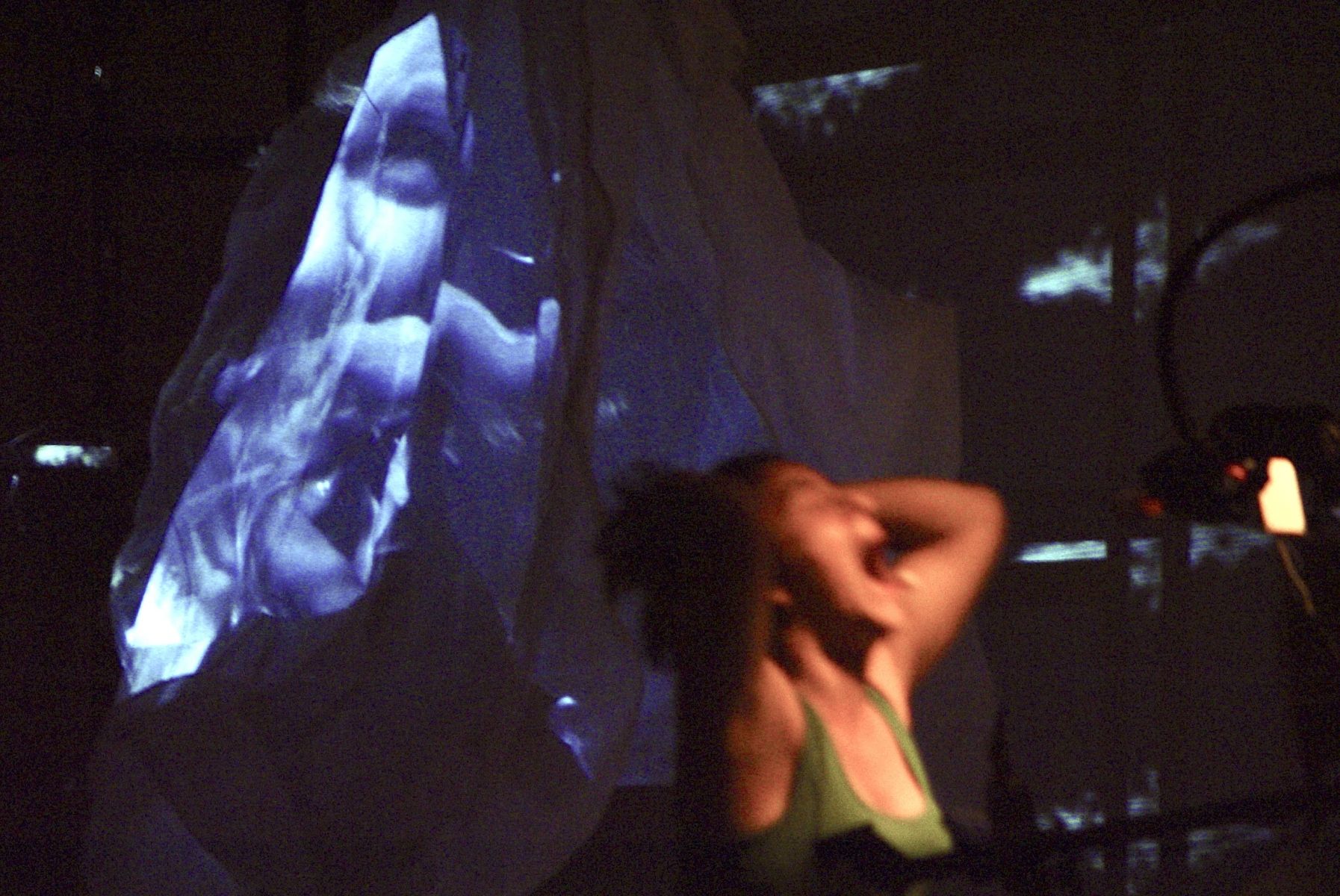 Paysage sous surveillance (2002)